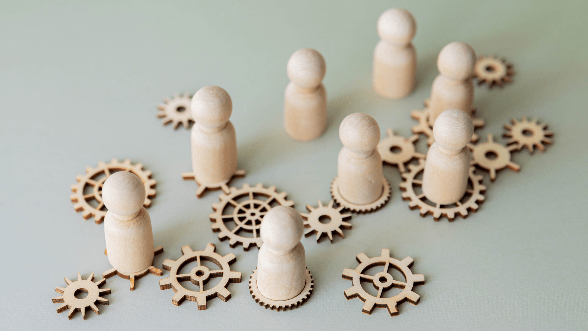 Prozess- und Organisationsberatung im SAP-Einführungsprojekt