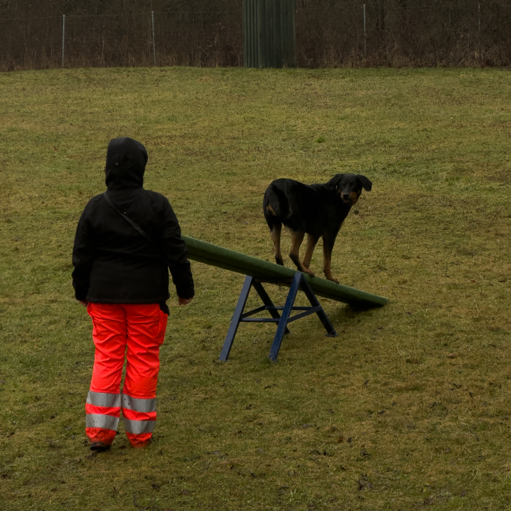 OREXES spendet 2.000 Euro für Einsätze auf vier Pfoten