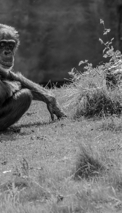 OREXES_website_image_philosophie-header_NAxNA